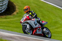 PJ-Motorsport-2019;anglesey;brands-hatch;cadwell-park;croft;donington-park;enduro-digital-images;event-digital-images;eventdigitalimages;mallory;no-limits;oulton-park;peter-wileman-photography;racing-digital-images;silverstone;snetterton;trackday-digital-images;trackday-photos;vmcc-banbury-run;welsh-2-day-enduro